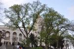 2013 05 02 montmartre 064